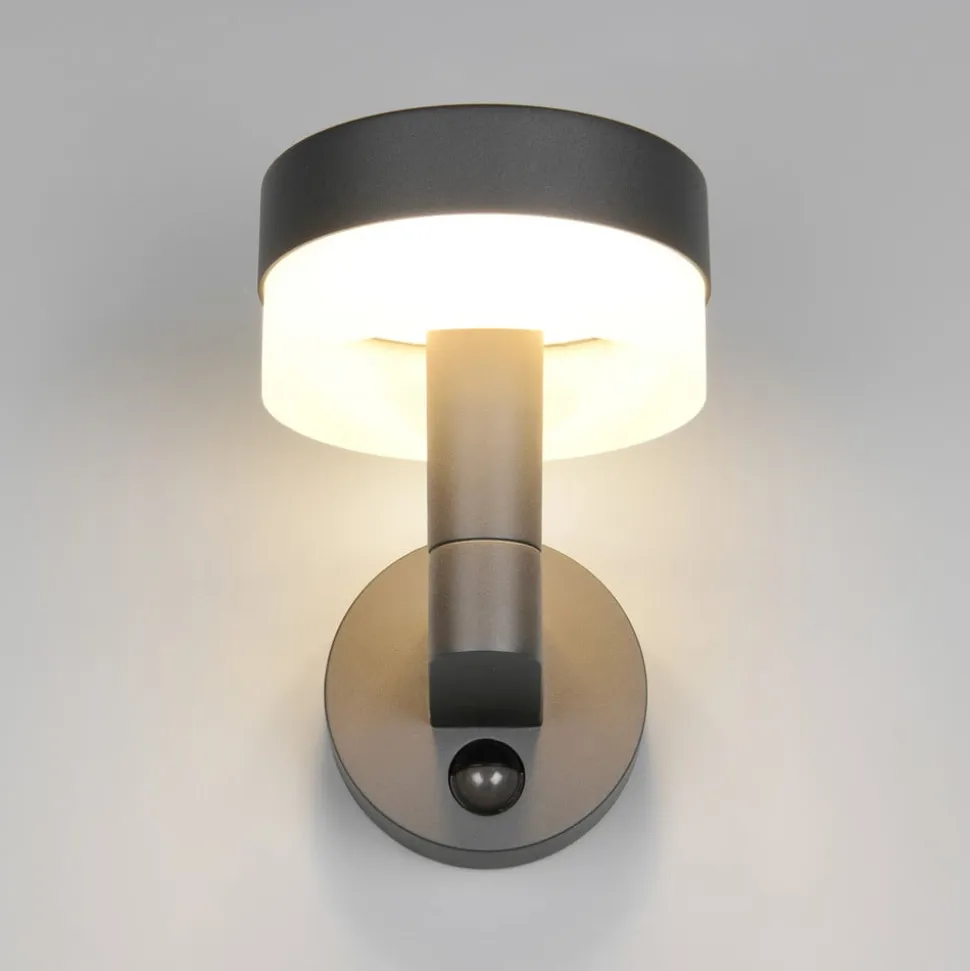 Udendørs LED-væglampe Mackenzie Sensor antracit, trykstøbt aluminium