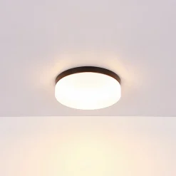 Udendørs loftslampe Vranos, mat sort, Ø 24 cm, aluminium