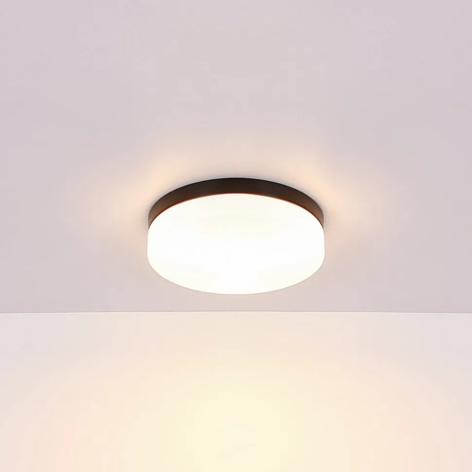 Udendørs loftslampe Vranos, mat sort, Ø 24 cm, aluminium