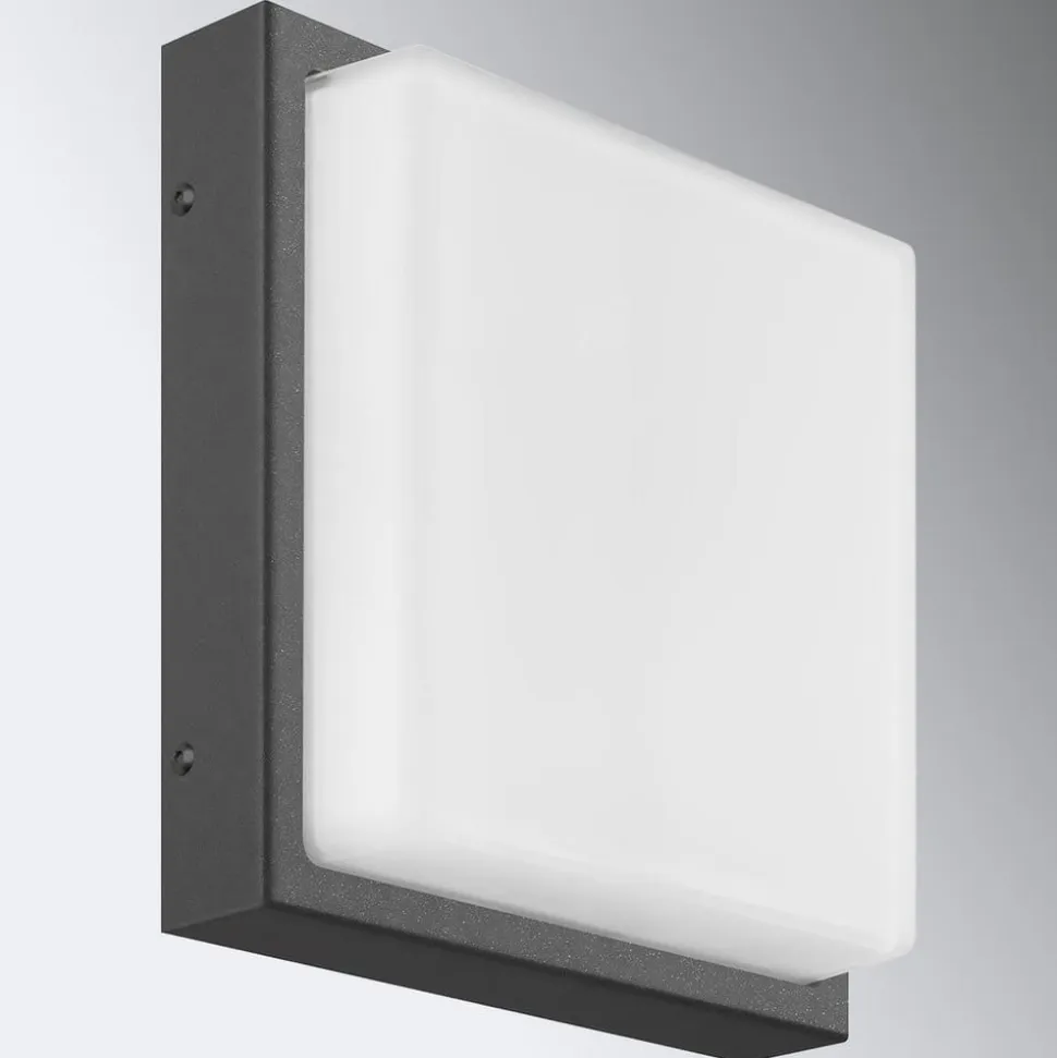 Udendørs væglampe Ernest, grafit, 25 x 25 cm, E27, stål
