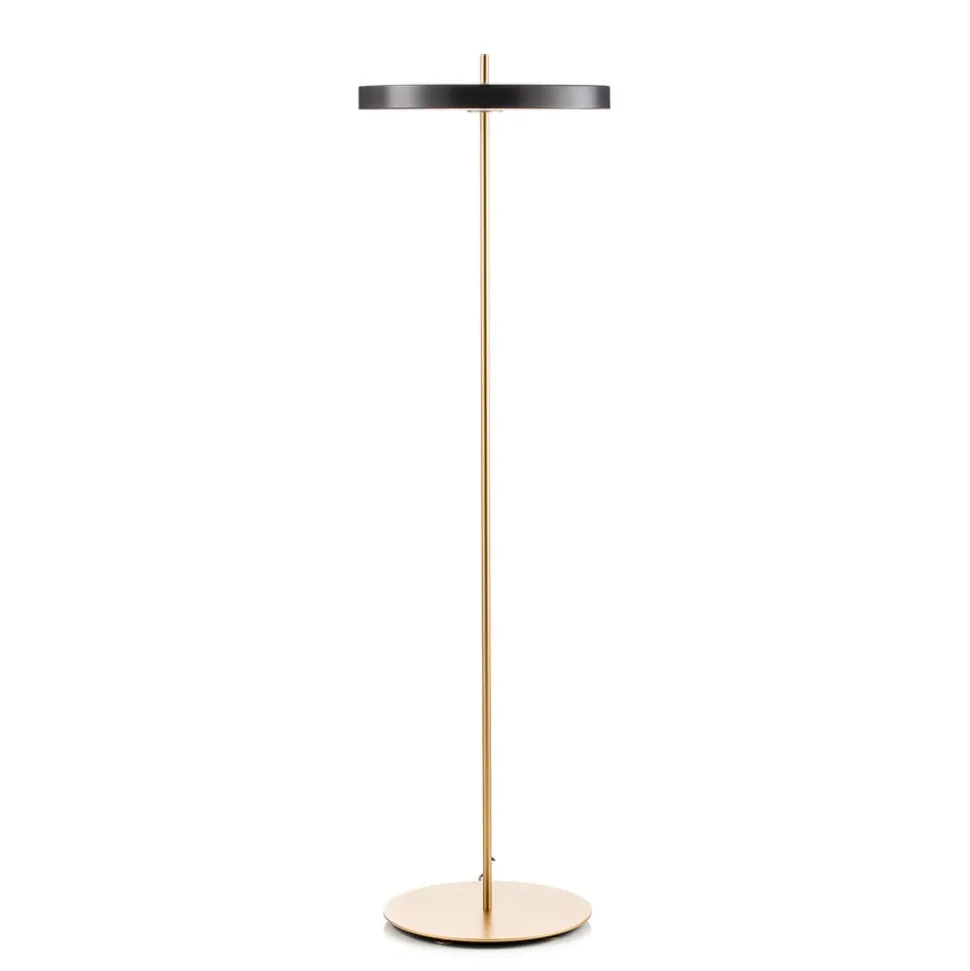 UMAGE Asteria Floor LED-gulvlampe, antracit