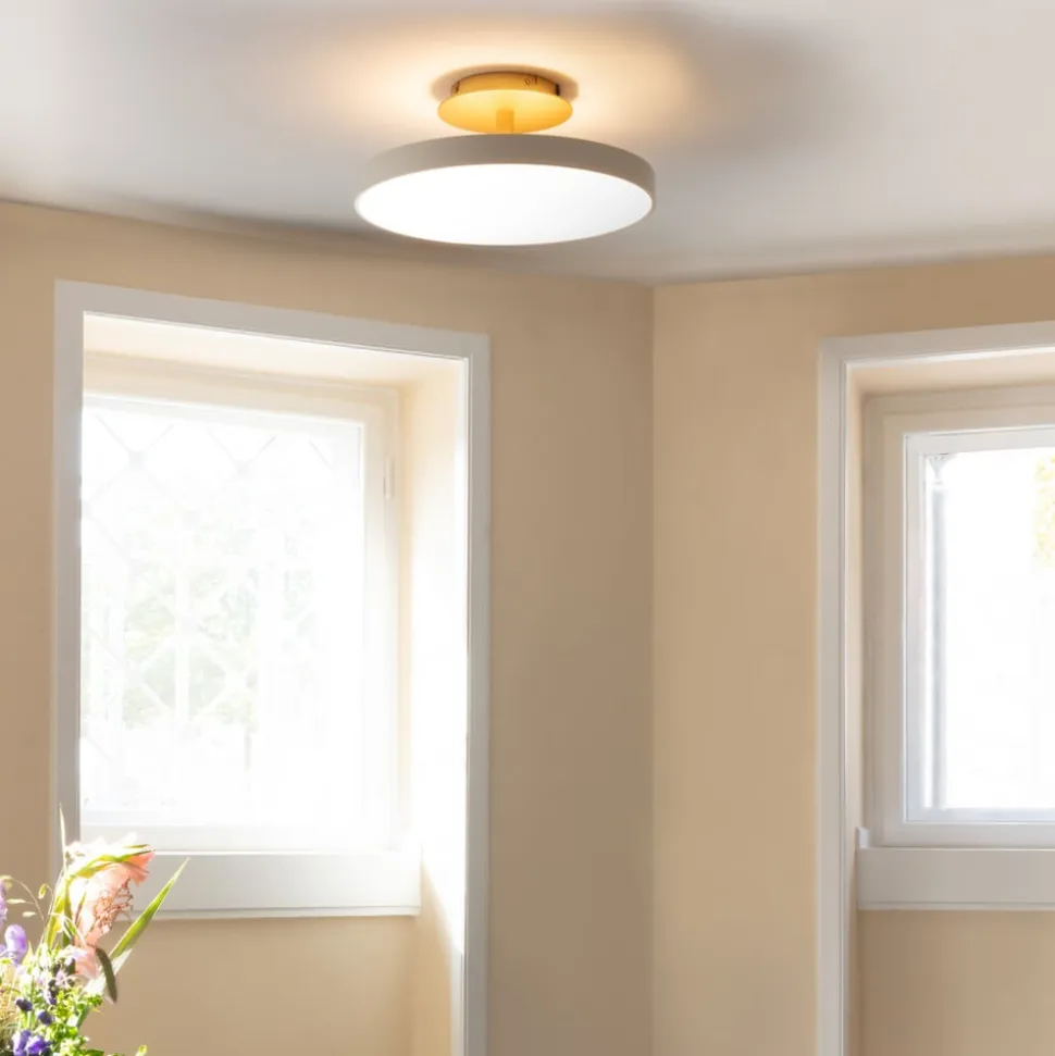 UMAGE LED-loftlampe Asteria UP PLUS, perlehvid, Ø 60 cm CCT