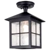 Winchester BL18A udendørs loftlampe