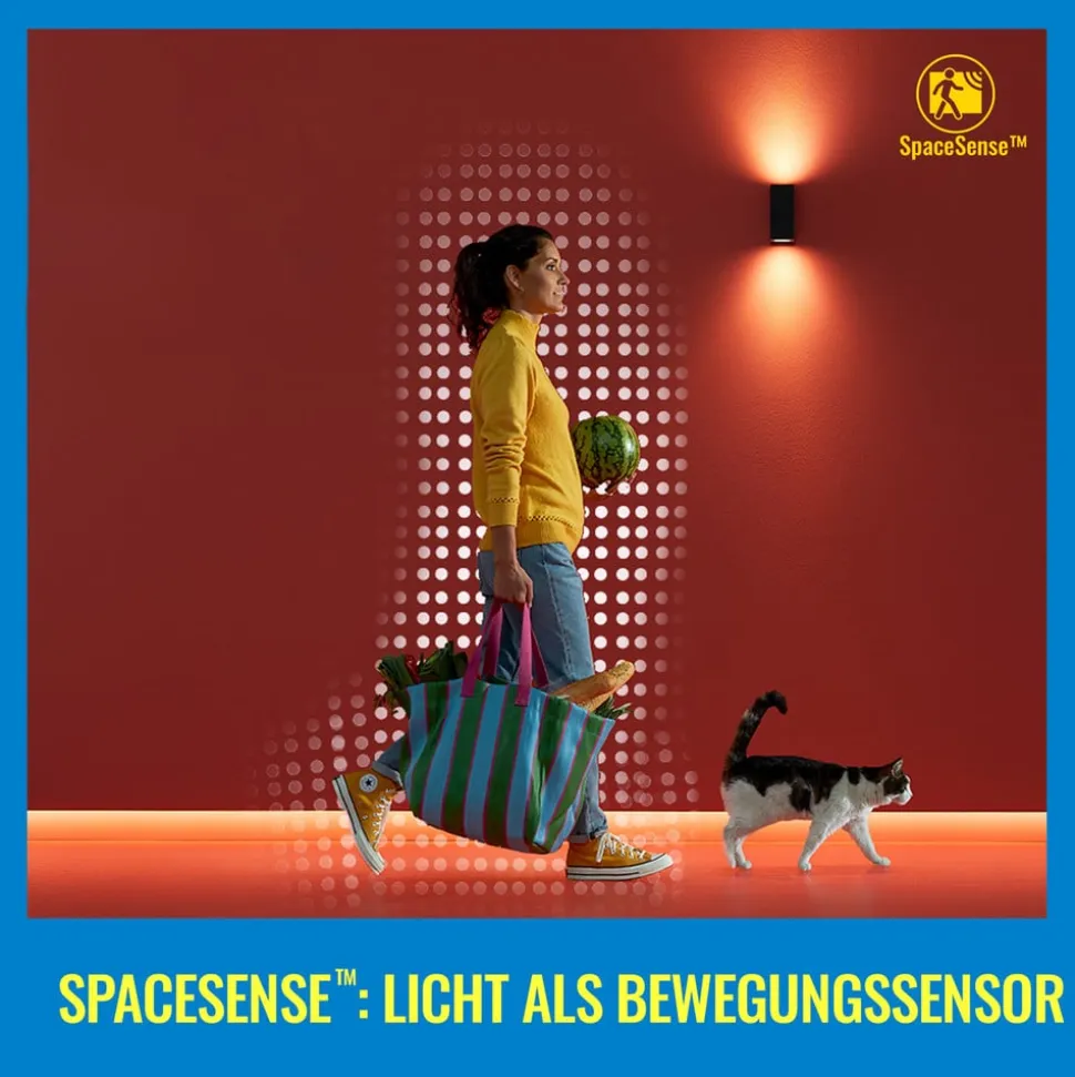 WiZ A60 LED-filamentpære WiFi E27 6,3 W RGBW